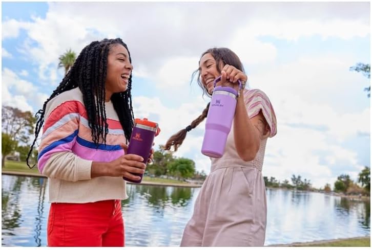 Iceflow 30 Oz Insulated Stainless Steel Tumbler with Handle, Twist-On Lid, and Flip-Up Straw - Leak Resistant, BPA-Free - Plum